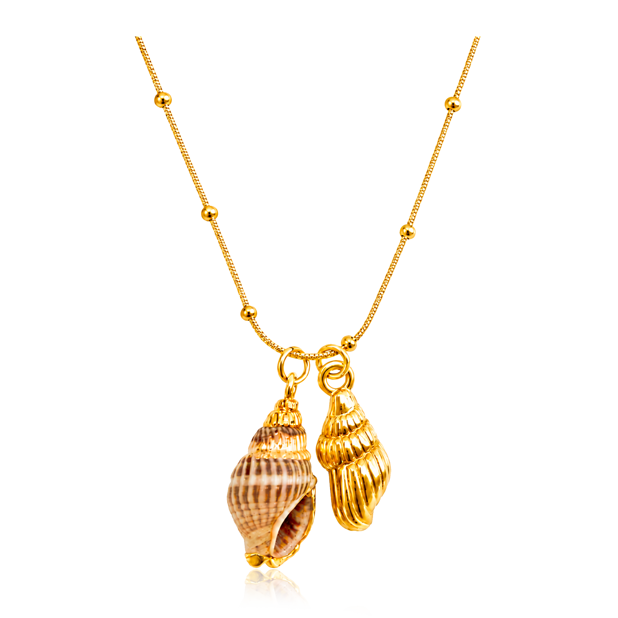 Collar Oceana Caracola Marina Natural Oro