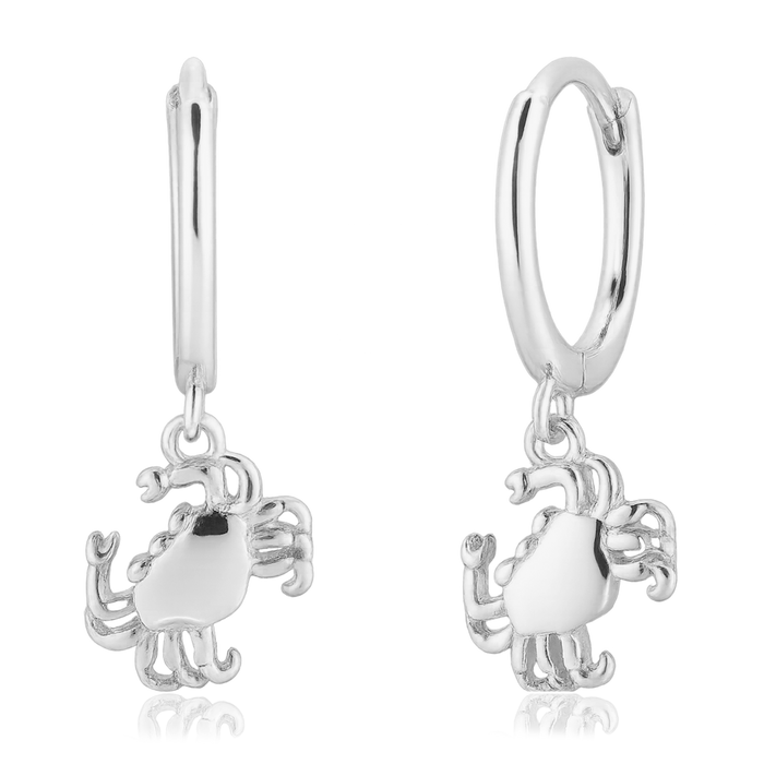 Aros Cangrejo Plata