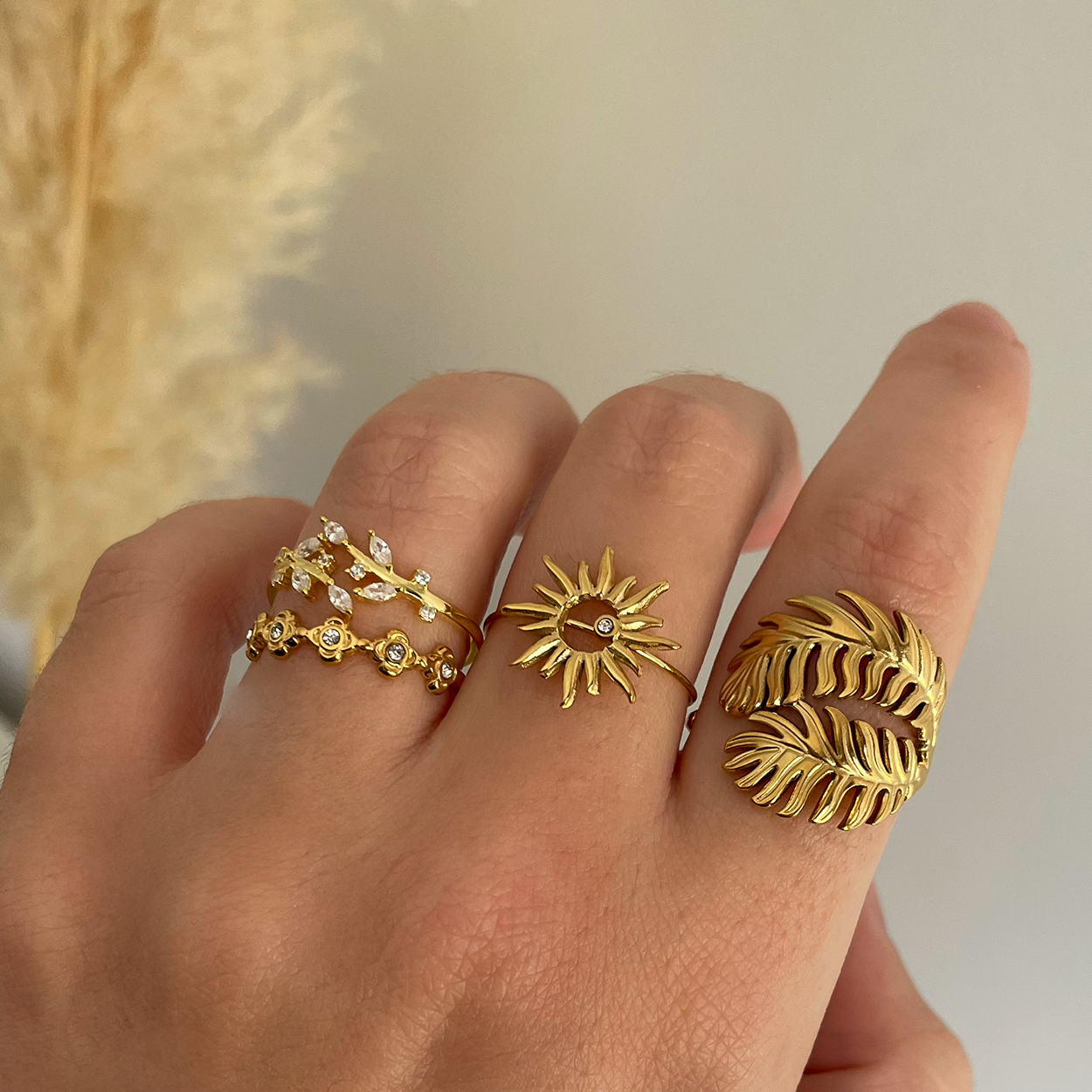 Anillo Tropical