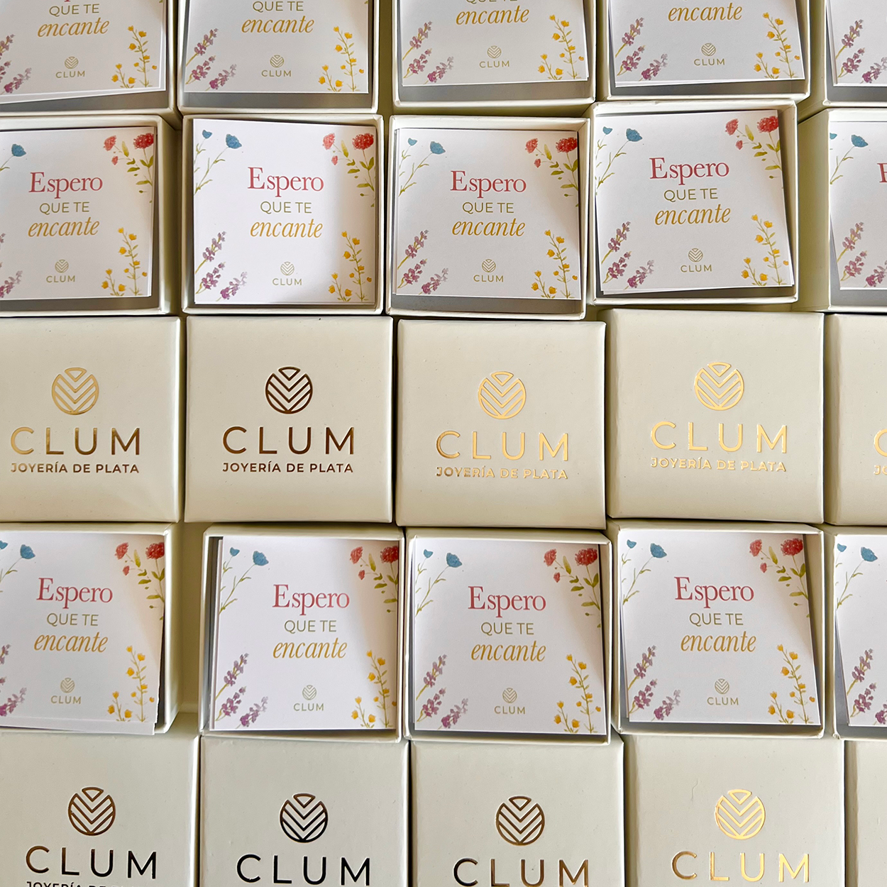Cajas CLUM | Set de 5