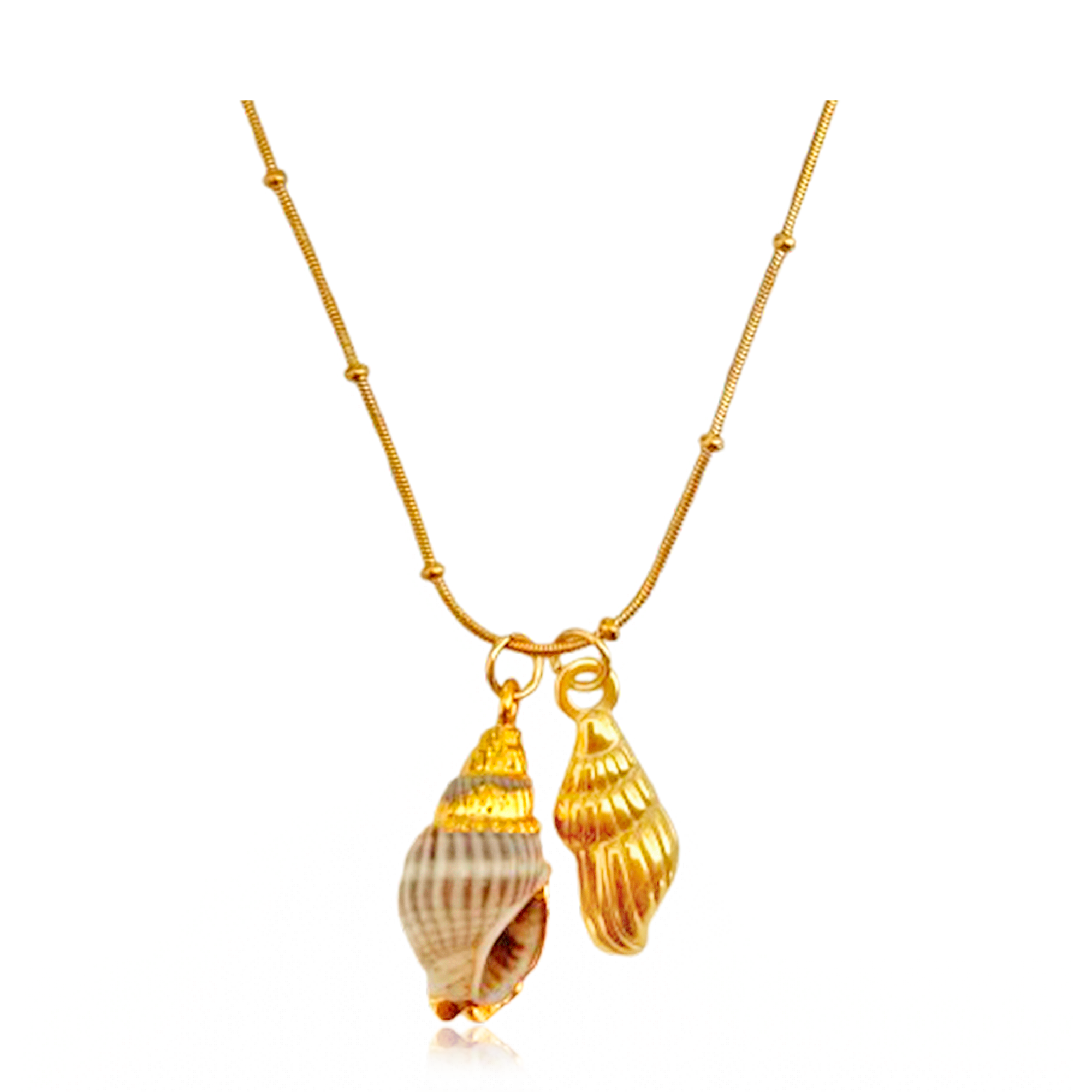 Collar Oceana Caracola Marina Natural Oro