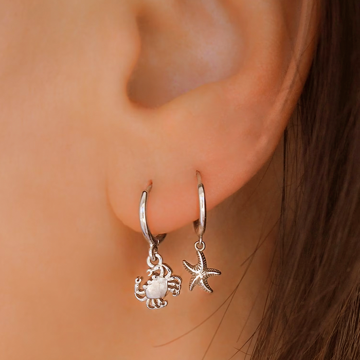 Aros Cangrejo Plata