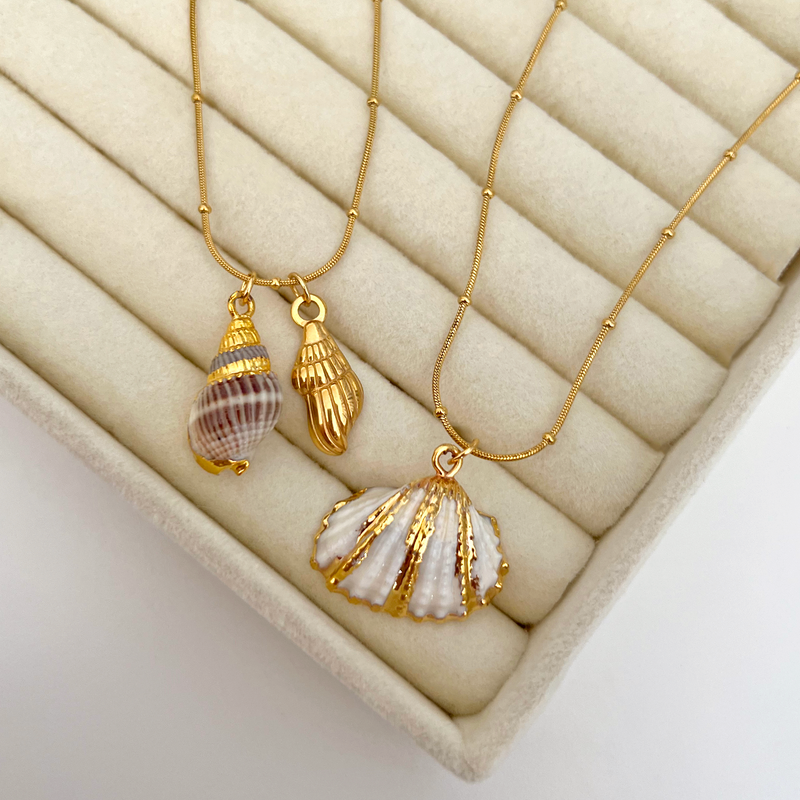 Collar Oceana Caracola Marina Natural Oro