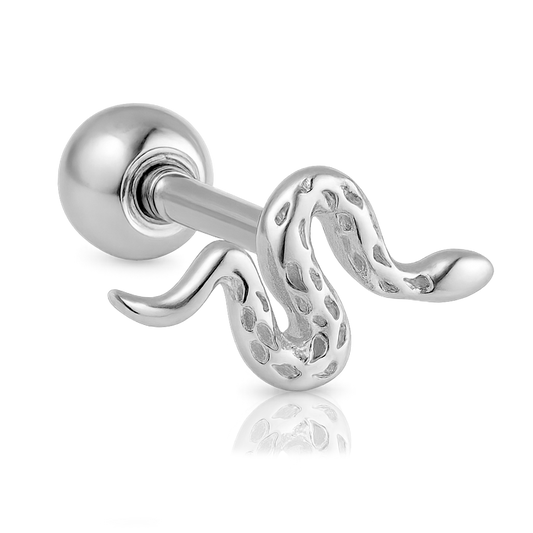 Pendiente Mini Snaky Plata