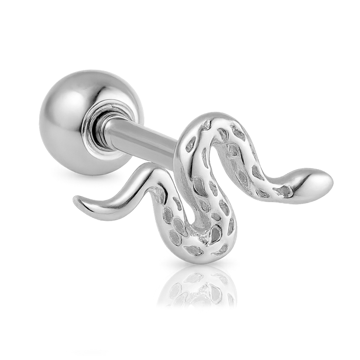 Pendiente Mini Snaky Plata