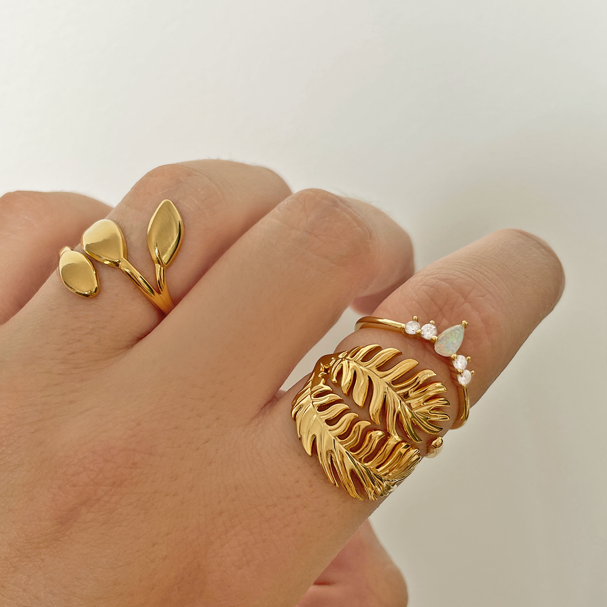 Anillo Tropical