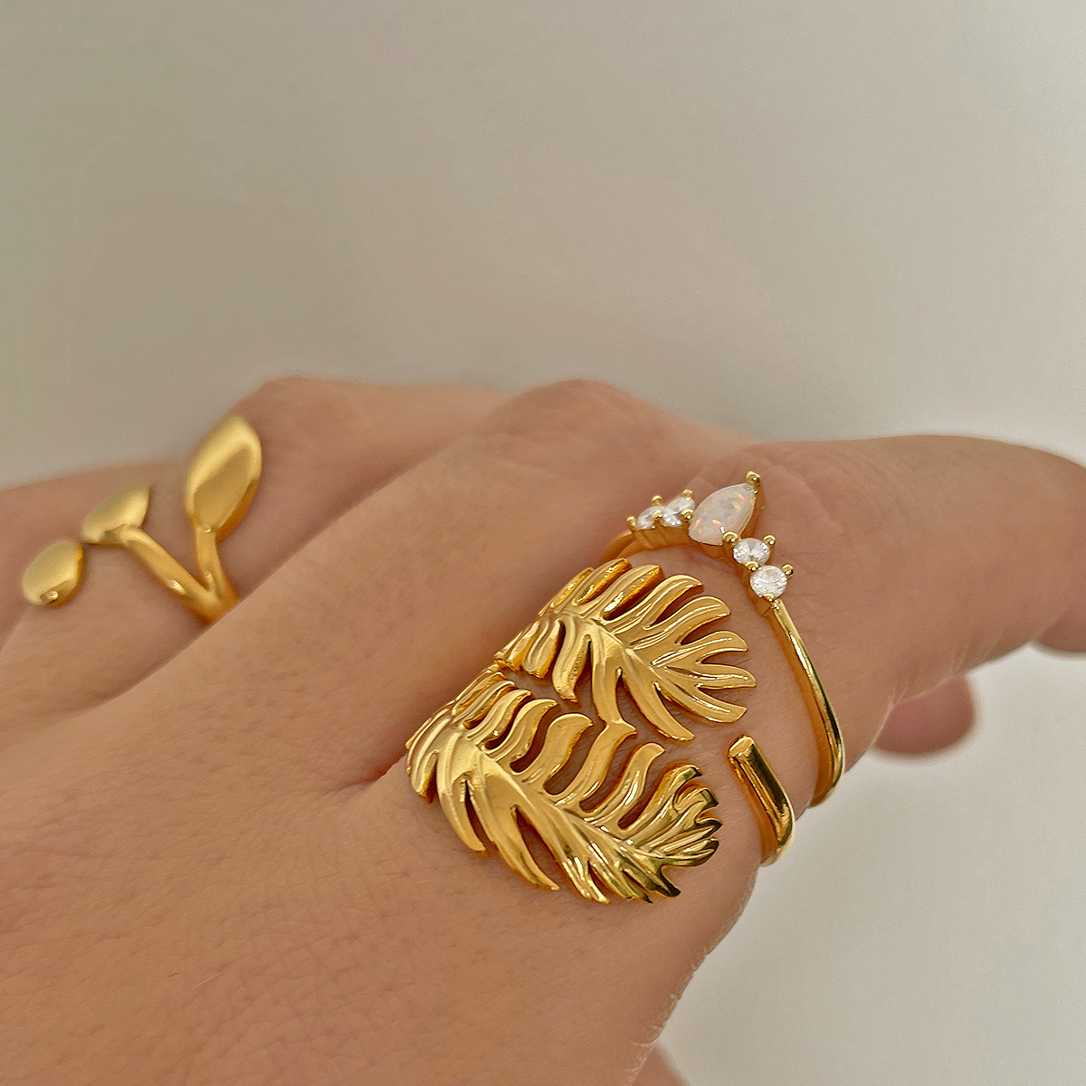 Anillo Tropical