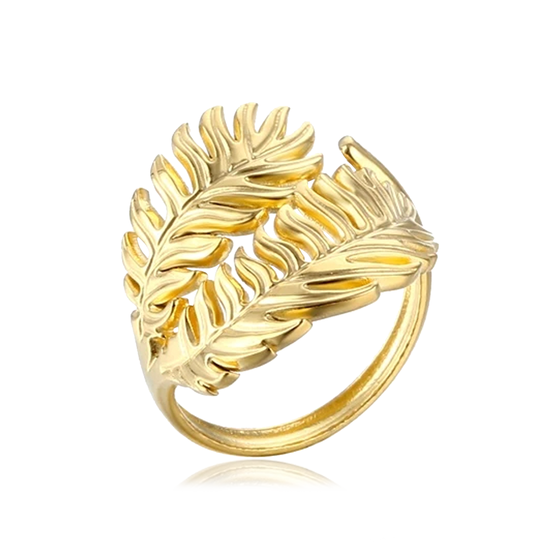 Anillo Tropical