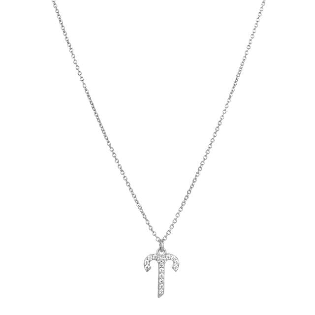 Collar Zodiaco Plata