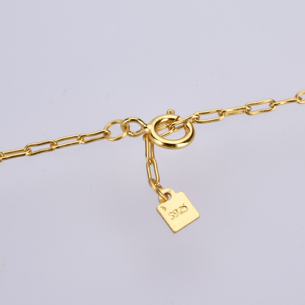 Collar Gun Plata