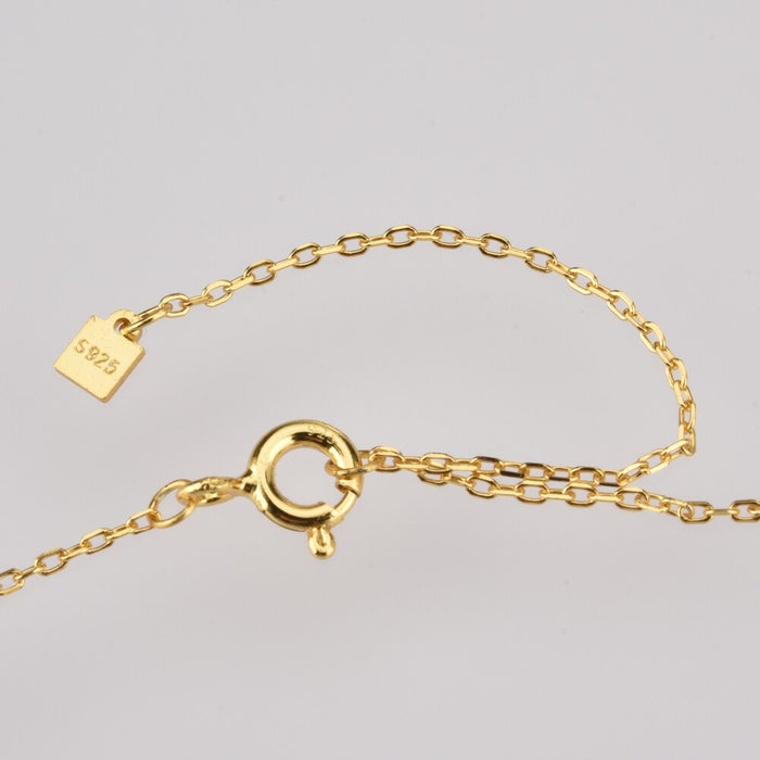 Collar Lock Plata